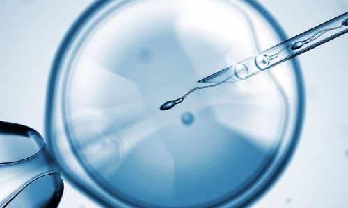 curso sobre fertilidad reproduccion asistida vitro